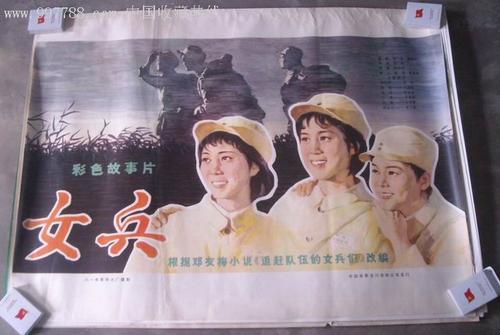 假护照登机